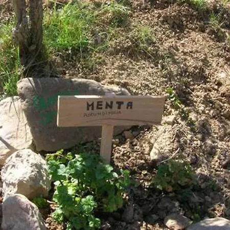 Azienda Agrituristica La Canestra * Cesariano