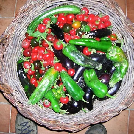 Azienda Agrituristica La Canestra *